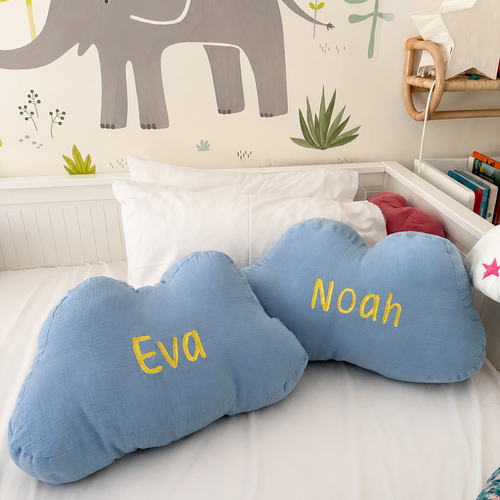 Cushions and Pillows