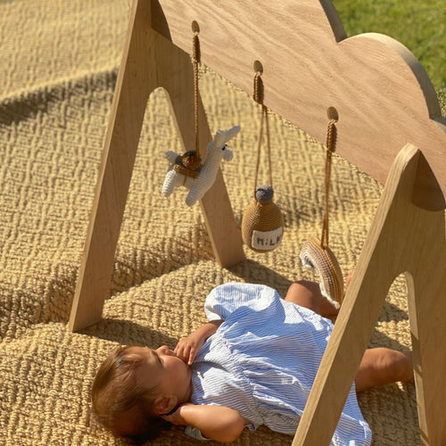 Baby play gym x Bambam for newborns - My Little World