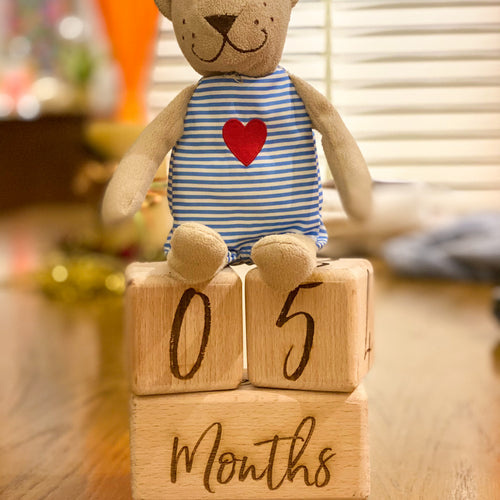 Baby milestone blocks for newborn photos - My Little World