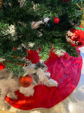 Load image into Gallery viewer, Christmas Tree Skirt - Personnalized
